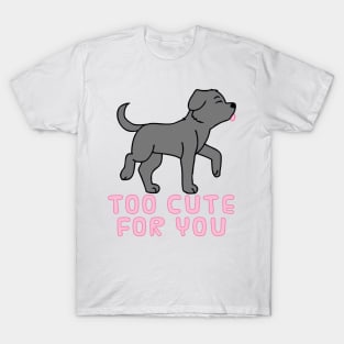 Too Cute For You (Black Lab) T-Shirt